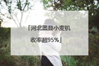 河北蠡县小麦机收率超95%