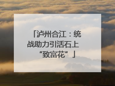 泸州合江：统战助力引活石上“致富花”