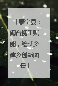 泰宁县：闽台携手赋能，绘就乡建乡创新图景