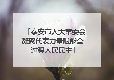 泰安市人大常委会凝聚代表力量赋能全过程人民民主