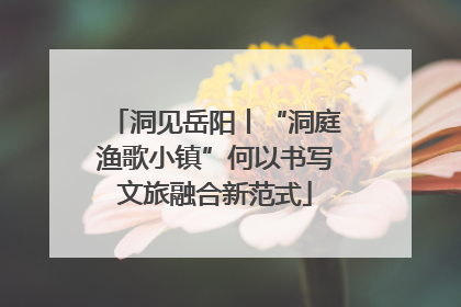 洞见岳阳丨“洞庭渔歌小镇”何以书写文旅融合新范式