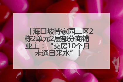 海口坡博家园二区2栋2单元2层部分商铺业主：“交房10个月未通自来水”