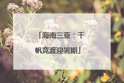海南三亚：千帆竞渡迎暑期