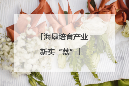海垦培育产业新实“荔”