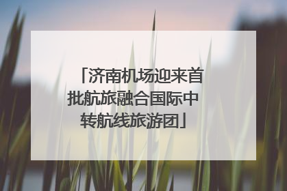 济南机场迎来首批航旅融合国际中转航线旅游团