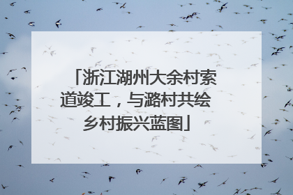 浙江湖州大余村索道竣工，与潞村共绘乡村振兴蓝图