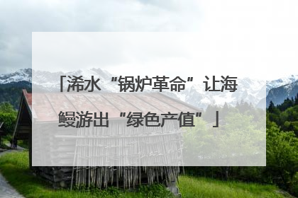浠水“锅炉革命”让海鳗游出“绿色产值”