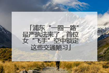 浦东“一圈一路”最严执法来了，首位女“飞手”空中锁定这些交通陋习