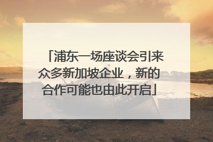 浦东一场座谈会引来众多新加坡企业，新的合作可能也由此开启
