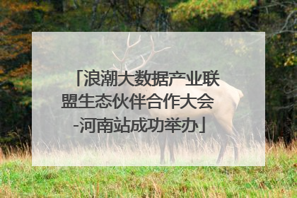浪潮大数据产业联盟生态伙伴合作大会-河南站成功举办
