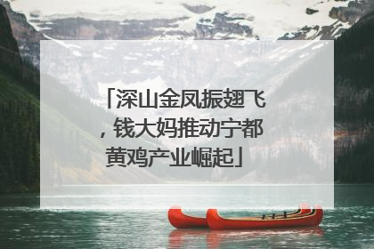 深山金凤振翅飞，钱大妈推动宁都黄鸡产业崛起