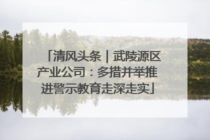 清风头条｜武陵源区产业公司：多措并举推进警示教育走深走实
