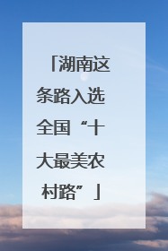 湖南这条路入选全国“十大最美农村路”