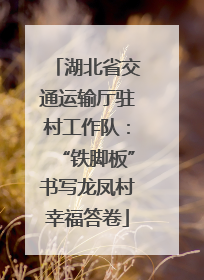 湖北省交通运输厅驻村工作队：“铁脚板”书写龙凤村幸福答卷