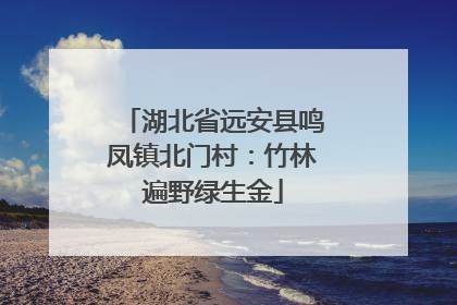 湖北省远安县鸣凤镇北门村：竹林遍野绿生金