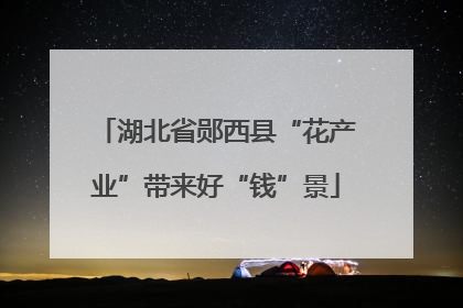 湖北省郧西县“花产业”带来好“钱”景