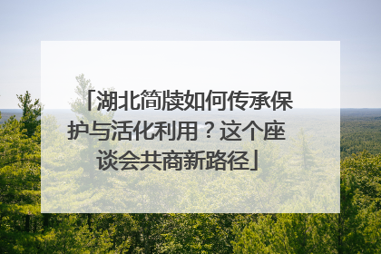湖北简牍如何传承保护与活化利用？这个座谈会共商新路径