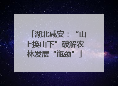 湖北咸安：“山上换山下”破解农林发展“瓶颈”