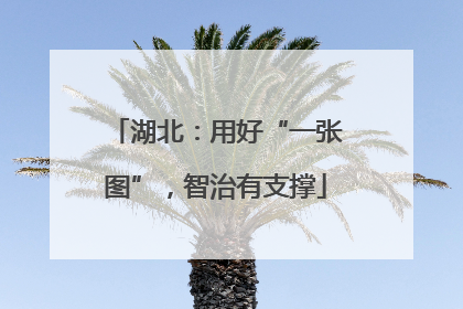 湖北：用好“一张图”，智治有支撑