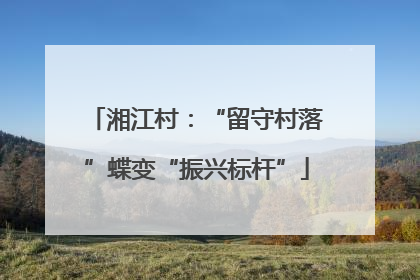 湘江村：“留守村落”蝶变“振兴标杆”