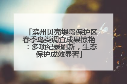 滨州贝壳堤岛保护区春季鸟类调查成果惊艳：多项纪录刷新，生态保护成效显著