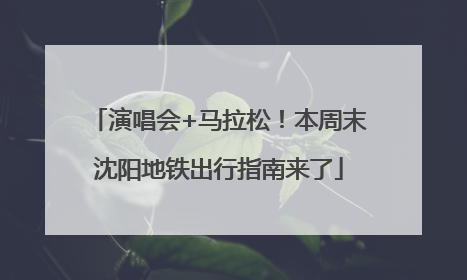 演唱会+马拉松！本周末沈阳地铁出行指南来了