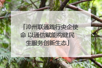 漳州联通践行央企使命 以通信赋能构建民生服务创新生态