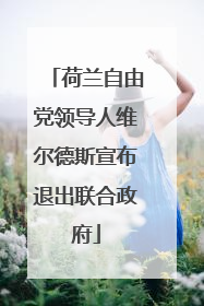 荷兰自由党领导人维尔德斯宣布退出联合政府
