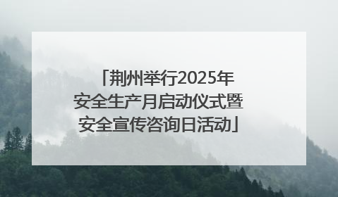 荆州举行2025年安全生产月启动仪式暨安全宣传咨询日活动