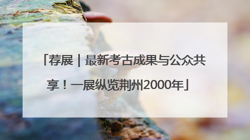 荐展｜最新考古成果与公众共享！一展纵览荆州2000年