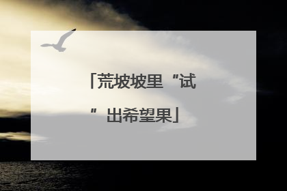 荒坡坡里“试”出希望果