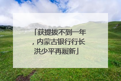 获提拔不到一年，内蒙古银行行长洪少平再履新