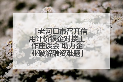 老河口市召开信用评价银企对接工作座谈会 助力企业破解融资难题