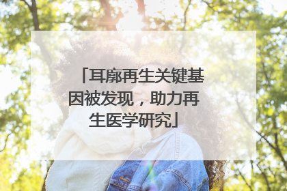 耳廓再生关键基因被发现，助力再生医学研究