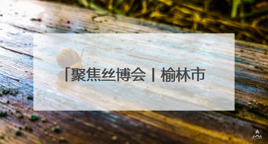 聚焦丝博会丨榆林市榆阳区组团参加第九届丝绸之路国际博览会暨中国东西部合作与投资贸易洽谈会