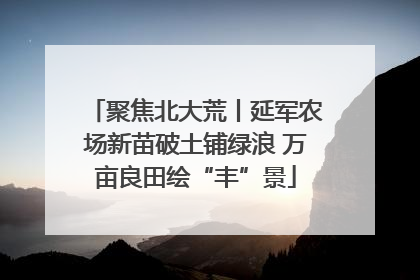 聚焦北大荒丨延军农场新苗破土铺绿浪 万亩良田绘“丰”景