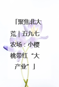 聚焦北大荒｜五九七农场：小樱桃带红“大产业”