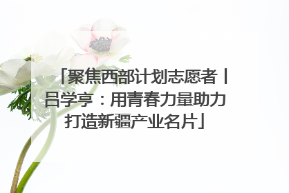 聚焦西部计划志愿者丨吕学亨：用青春力量助力打造新疆产业名片