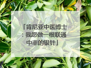 肯尼亚中医博士：我愿做一根联通中非的银针