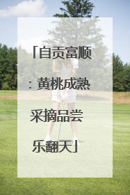 自贡富顺：黄桃成熟 采摘品尝乐翻天