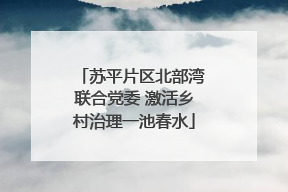 苏平片区北部湾联合党委 激活乡村治理一池春水