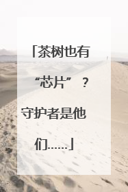 茶树也有“芯片”？守护者是他们……