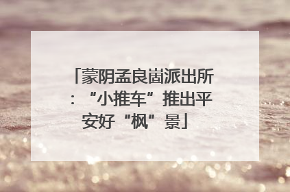蒙阴孟良崮派出所：“小推车”推出平安好“枫”景