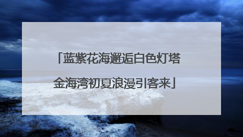 蓝紫花海邂逅白色灯塔 金海湾初夏浪漫引客来