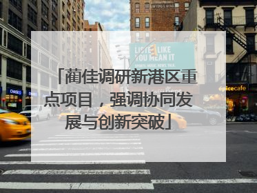 蔺佳调研新港区重点项目，强调协同发展与创新突破