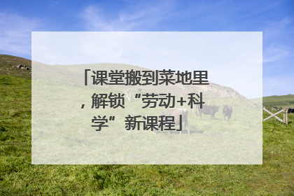 课堂搬到菜地里，解锁“劳动+科学”新课程