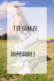 许昆林在扬州调研