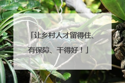 让乡村人才留得住、有保障、干得好！
