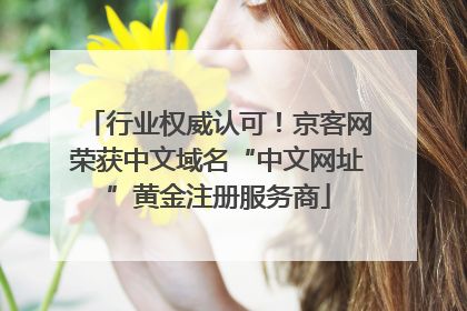 行业权威认可！京客网荣获中文域名“中文网址”黄金注册服务商
