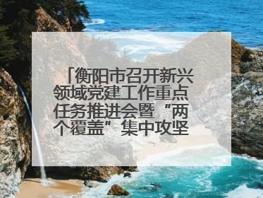 衡阳市召开新兴领域党建工作重点任务推进会暨“两个覆盖”集中攻坚工作专班 第一次会议